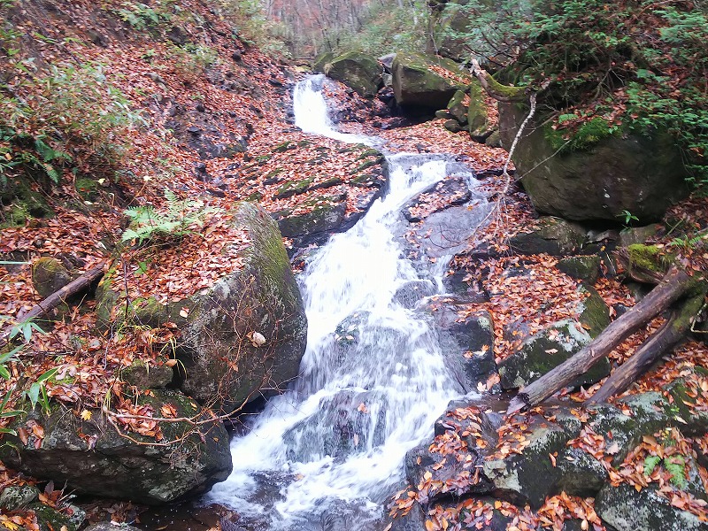 迷沢　ナメ